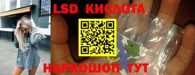 крисы Абакан