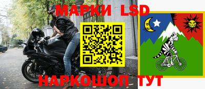 крисы Абакан