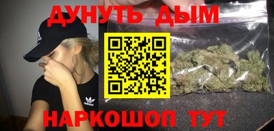 крисы Абакан