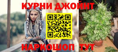 крисы Абакан