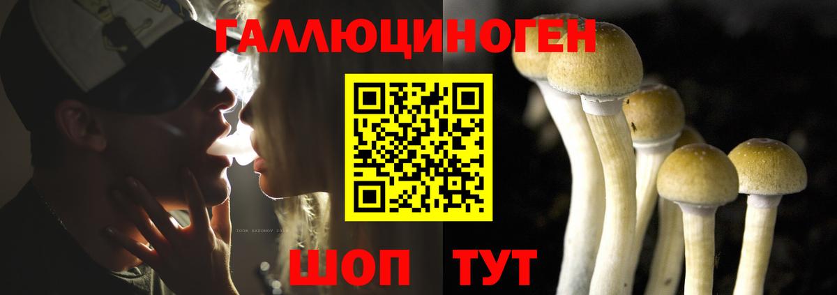 Галлюциногенные грибы MAGIC MUSHROOMS  Вход с VPN  Альметьевск 